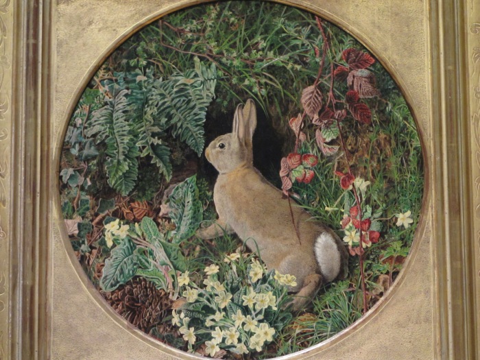 William J. Webbe, 'Rabbit amid Ferns and Flowering Plants', 1855. Oil on canvas, 35.6 x 35.6 cm. 